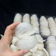 将图片加载到图库查看器，美国现货-马来西亚燕窝干挑燕盏1磅
