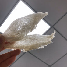 将图片加载到图库查看器，美国现货马来西亚燕窝大燕条8oz
