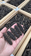 将图片加载到图库查看器，美国现货大连辽刺参淡干海参1磅
