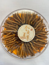 将图片加载到图库查看器，西藏野生冬虫夏草0.5司马两/盒
