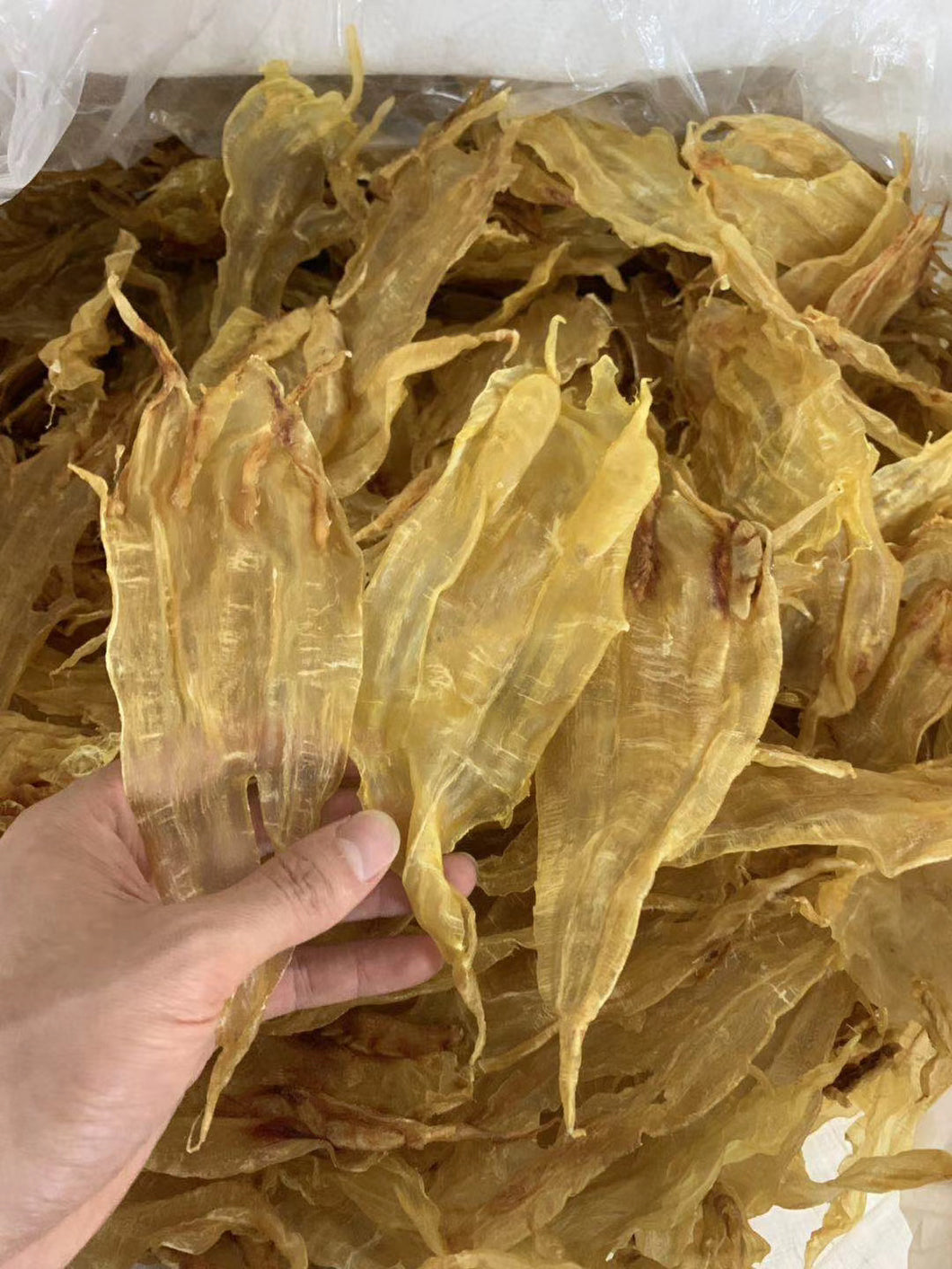 墨西哥🇲🇽尖尾北海鱼胶