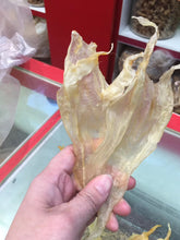将图片加载到图库查看器，墨西哥🇲🇽尖尾北海鱼胶
