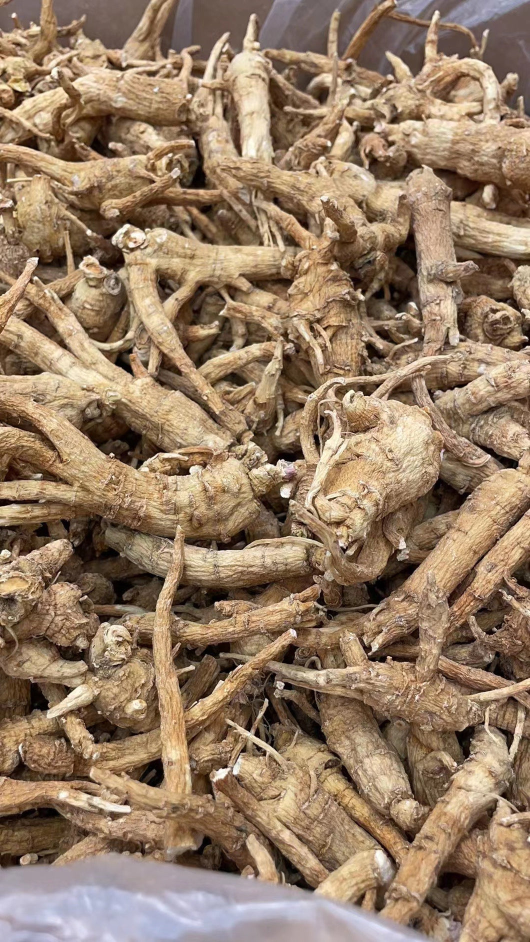 (统货）加拿大4年西洋参3磅